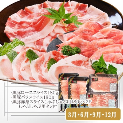 定期便(3回配送)黒毛和牛・黒豚&鰹タタキ　DD5-0002