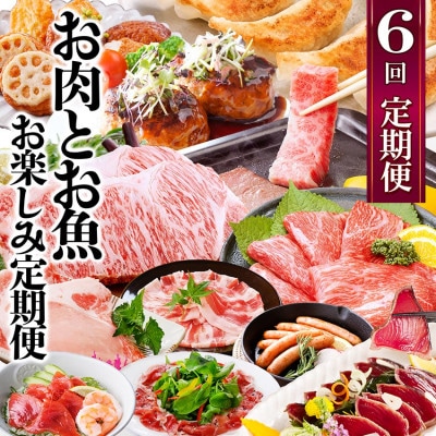 お肉とお魚　お楽しみ定期便　6回配送JJ10-0002