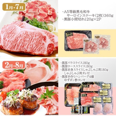 お肉とお魚　お楽しみ定期便　6回配送JJ10-0002