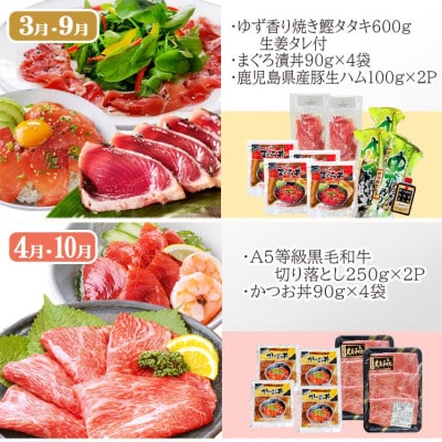 お肉とお魚　お楽しみ定期便　6回配送JJ10-0002