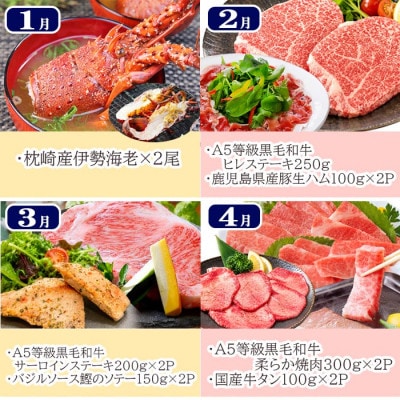豪華定期便 12回配送　枕崎産伊勢海老　鹿児島県産黒毛和牛　黒豚 LL40-0001