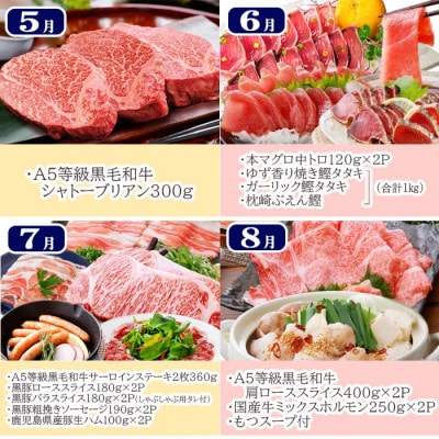 豪華定期便 12回配送　枕崎産伊勢海老　鹿児島県産黒毛和牛　黒豚 LL40-0001