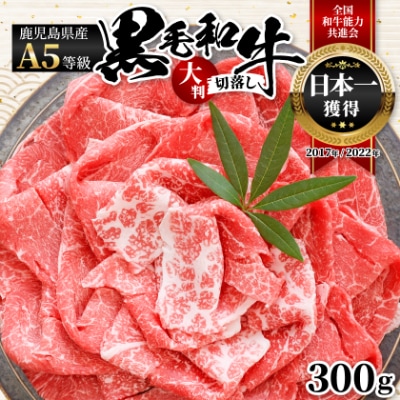 A5等級鹿児島県産黒毛和牛大判切落し(枕崎市) A0-78