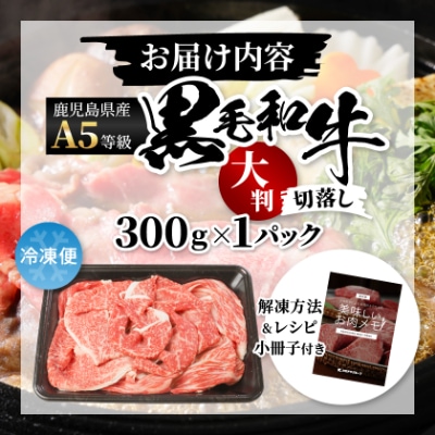 A5等級鹿児島県産黒毛和牛大判切落し(枕崎市) A0-78