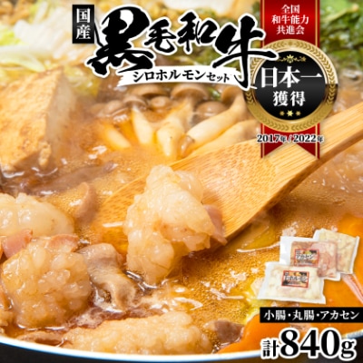 国産黒毛和牛シロホルモンセット840g A3-383枕