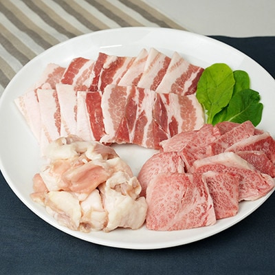 【A5和牛・豚・ホルモン】焼肉セット 900g(枕崎市) BB899