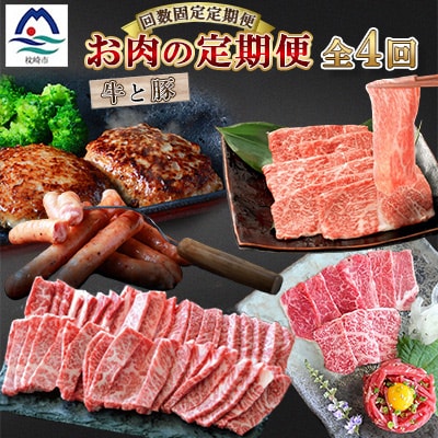 【毎月定期便】厳選!お肉の定期便全4回