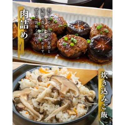 (D)大分産乾しいたけと豊後きのこカレーと豊後きのこめし_F07027