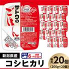 【毎月定期便】サトウのごはん　新潟県産こしひかり　200g × 20個全6回