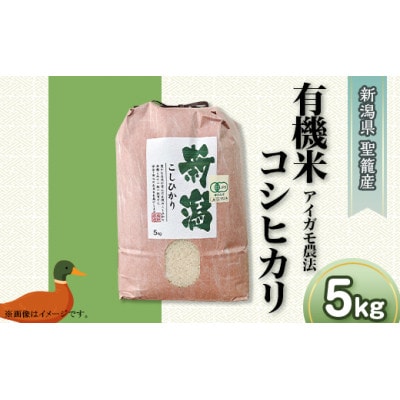 【令和6年産】新潟県聖籠産 有機米(合鴨農法)コシヒカリ 5kg