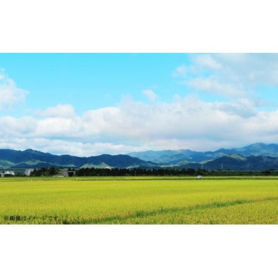 【令和6年産】新潟県聖籠産 有機米(合鴨農法)コシヒカリ 5kg