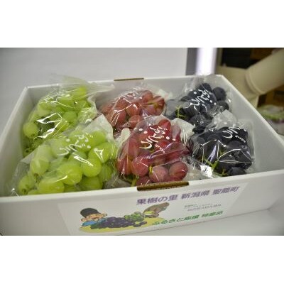 農家のおすすめぶどうバラエティセット