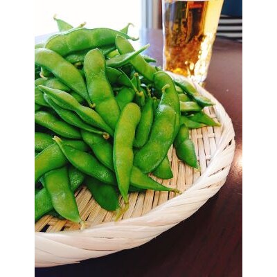 新潟県聖籠産 枝豆　2.4kg