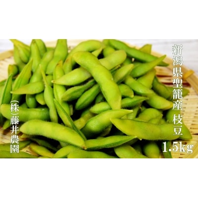 新潟県聖籠産 枝豆 1.5kg [藤井農園]
