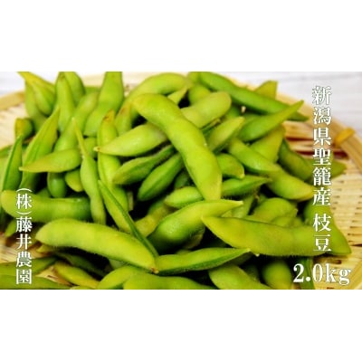 新潟県聖籠産 枝豆 2.0kg [藤井農園]