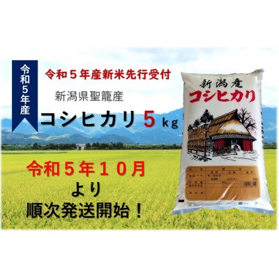 【令和5年産先行受付】新潟県聖籠産米コシヒカリ 5kg