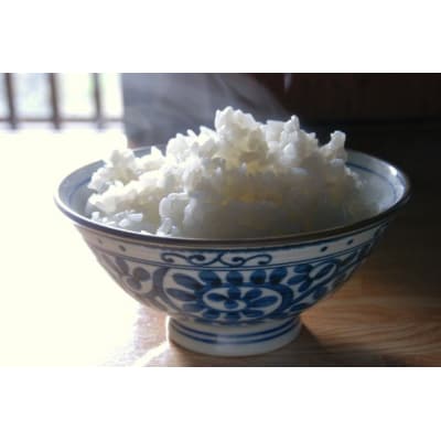 【令和5年産先行受付】新潟県聖籠産米コシヒカリ 30kg