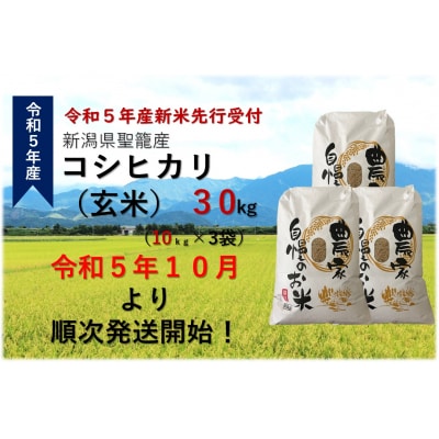 【令和5年産先行受付】新潟県聖籠産玄米コシヒカリ 30kg
