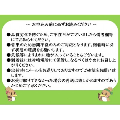 【数量限定】 聖籠産シャインマスカット2房(1kg以上) 産地直送