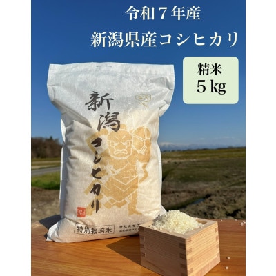 金助農業のコシヒカリ精米5kg