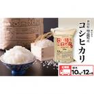 【毎月定期便】新潟県産コシヒカリ10kg全12回