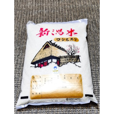 【精米10kg】新潟県産コシヒカリ(特別栽培米)近藤農園