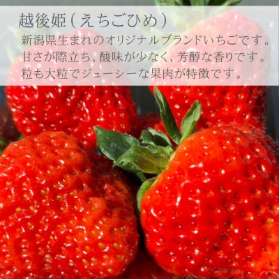 【数量限定】いちごジャム(越後姫)2種食べ比べセット　各100g【machikago(マチカゴ)】