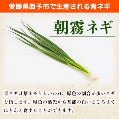愛媛県西予市産 朝霧ネギ 約2kg(80g入り×25袋)