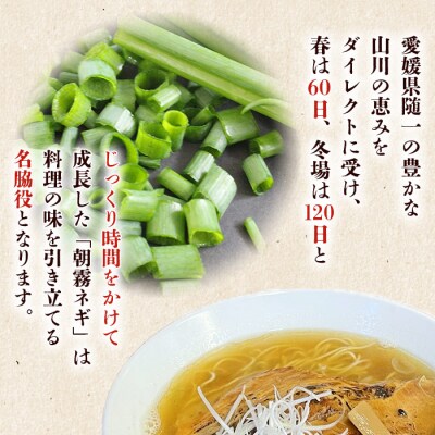 愛媛県西予市産 朝霧ネギ 約2kg(80g入り×25袋)