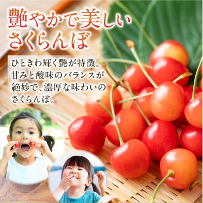 2025年発送【先行受付】佐藤錦【L～2Lサイズ】1Kg【すこやか自然農園】_Y139-0001