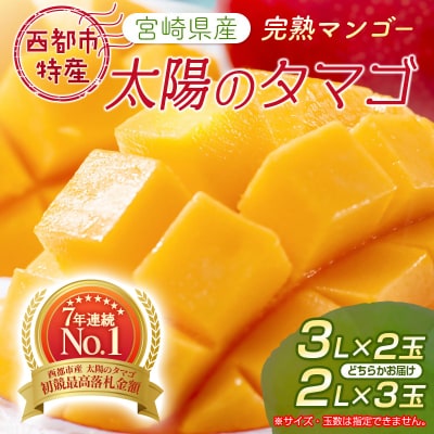 太陽のタマゴ2～3玉西都市特産品宮崎県産完熟マンゴー【先行受付】[2193]