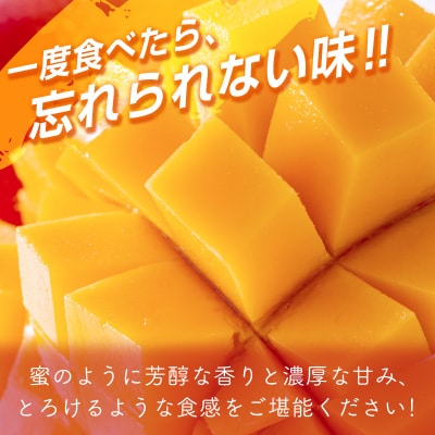 太陽のタマゴ2～3玉西都市特産品宮崎県産完熟マンゴー【先行受付】[2193]
