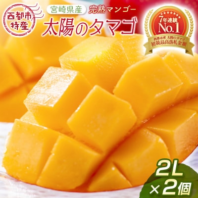 西都市特産品 太陽のタマゴ2L×2個  宮崎県産完熟マンゴー【先行受付】[1905]