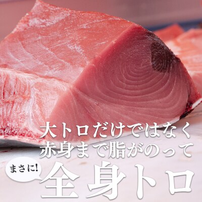 本マグロ(50kg以上)1本 (解体人付き)