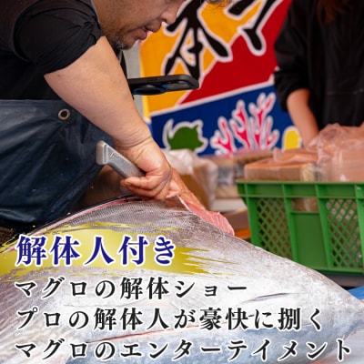 本マグロ(50kg以上)1本 (解体人付き)