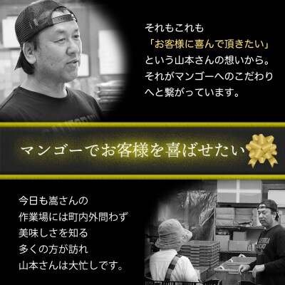 かおる・とろける!土佐マンゴー(2～5個)×4箱