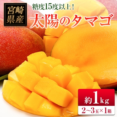 ◆糖度15度以上!宮崎県産 「太陽のタマゴ」(合計約1kg)