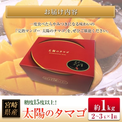 ◆糖度15度以上!宮崎県産 「太陽のタマゴ」(合計約1kg)