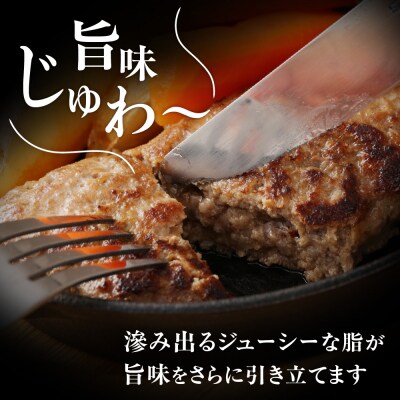 むなかた牛 ハンバーグ 150g×6個 (シェフ特製ステーキソース付き)【すすき牧場】_HA0139