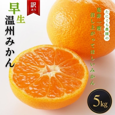 訳あり 早生温州みかん(マルチ栽培)5kg【11月中旬～12月中旬発送】【mtn007B】