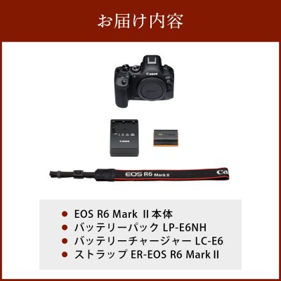 キヤノンミラーレスカメラ EOS R6 Mark II_R14150