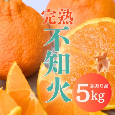 たにぐち農園の完熟不知火 訳あり 5kg【2026年2月中旬～3月下旬に順次発送】【mtn010B】