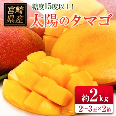 □糖度15度以上!宮崎県産 「太陽のタマゴ」(合計約2kg)