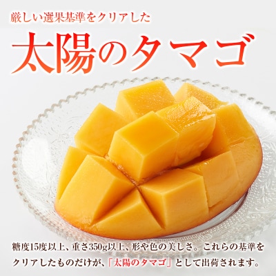 □糖度15度以上!宮崎県産 「太陽のタマゴ」(合計約2kg)