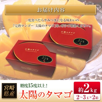 □糖度15度以上!宮崎県産 「太陽のタマゴ」(合計約2kg)
