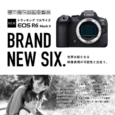 キヤノンミラーレスカメラEOS R6 MkII RF24-105 STM レンズキット_R14151