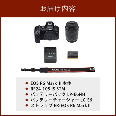 キヤノンミラーレスカメラEOS R6 MkII RF24-105 STM レンズキット_R14151