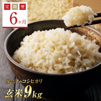 《定期便6ヶ月》 西会津産米コシヒカリ 玄米 9kg(4.5kg×2) F4D-1529