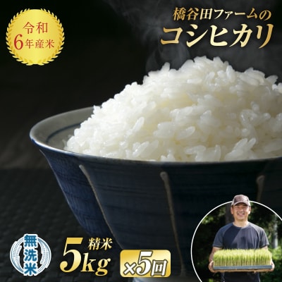 《定期便5ヶ月》 令和6年産米 西会津産米「コシヒカリ」無洗米 5kg F4D-1540