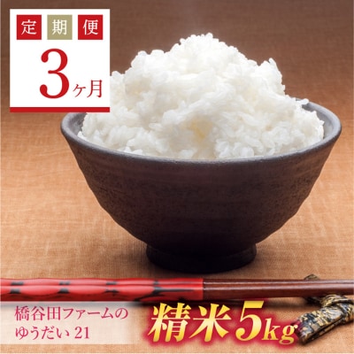 《定期便3ヶ月》 西会津産米 ゆうだい21 精米 5kg F4D-1550